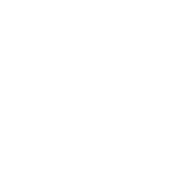 nexosvault